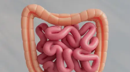 Prebiotik atau Probiotik, Mana yang Lebih Penting untuk Usus Sehat?