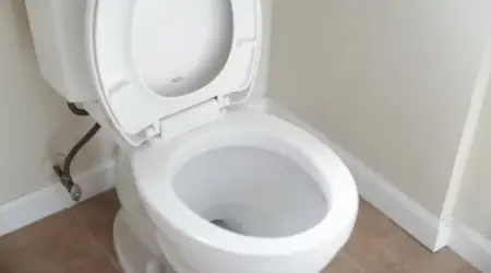 Seberapa Sering Idealnya BAB? Ini Biar Kamu Nggak Salah Kaprah Soal Pencernaan